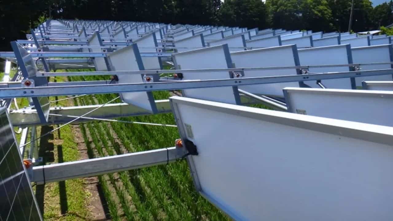 Agri-Solar Panels